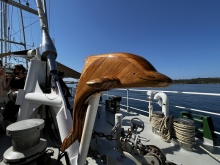 Tęczowy Wojownik (Rainbow Warrio) w Sibeniku | Charter.edu.pl 	 foto: Kasia