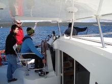 Szkolenie manewrowe na katamaranie - charter.edu.pl