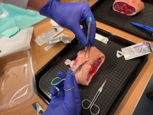 Kurs Medycyna na jachcie | Charter.edu.pl foto: Kasia Kowalska