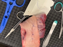 Kurs medycyna na jachcie | Charter.edu.pl foto: Kasia Kowalska