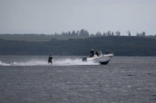 zdjęcie: Anna Komosińska