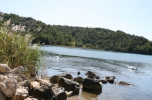 Starszy sternik motorowodny w Chorwacji