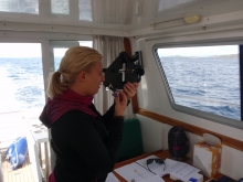 Starszy sternik motorowodny w Chorwacji