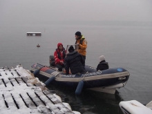 Sternik motorowodny (Zalew Rybnicki stycze