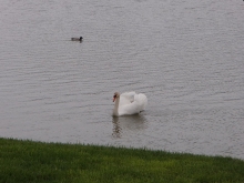 Sternik motorowodny (Rzesz foto: Kasia Koj