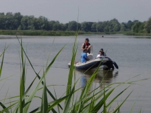 Sternik motorowodny (czerwiec 2016) foto: Kasia Koj