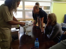 Silnik na jachcie (Krak foto: Przemek