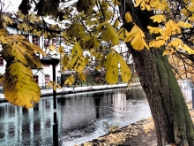 Sternik motorowodny w Bydgoszczy  foto: Kasia Koj