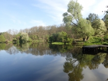Licencja na holowanie narciarza wodnego i innych obiektów pływających  foto: Kasia Koj