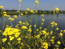 Kurs sternika motorowodnego  foto: Kasia Koj