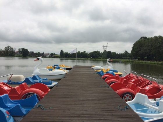 Licencja na holowanie narciarza wodnego (Osiek, czerwiec 2018)