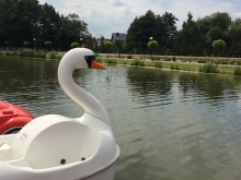 Sternik motorowodny  foto: Katarzyna Koj