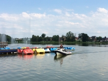 Sternik motorowodny  foto: Katarzyna Koj