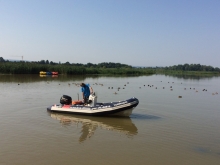 Sternik motorowodny  foto: Katarzyna Koj
