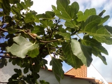 Jachtowy sternik morski na Bałtyku foto: Ula Moczulska