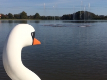szkolenie motorowodne w Bielsku-Białej foto: Kasia