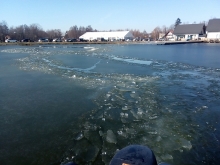 Sternik motorowodny z charter.edu.pl foto: Tomasz Cieślar