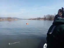  foto: Tomasz Cieślar