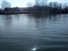  foto: Tomasz Cieślar