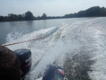  foto: Tomasz Cieślar