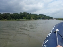  foto: Tomasz Cieślar