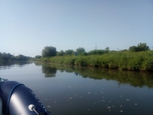  foto: Tomasz Cieślar