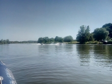  foto: Tomasz Cieślar