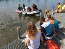  foto: Katarzyna Kowalska