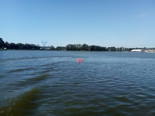  foto: Tomasz Cieślar