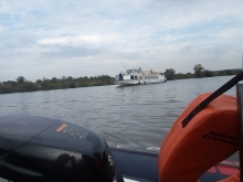  foto: Tomasz Cieślar