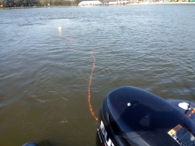  foto: Tomasz Cieślar