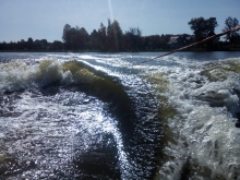  foto: Tomasz Cieślar