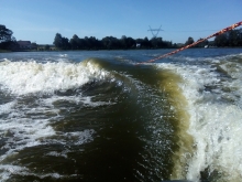  foto: Tomasz Cieślar