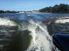  foto: Tomasz Cieślar