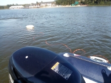  foto: Tomasz Cieślar