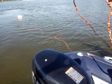  foto: Tomasz Cieślar