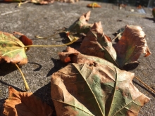 Sternik motorowodny - Charter.edu.pl foto: Katarzyna Koj