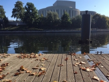 Sternik motorowodny - Charter.edu.pl foto: Katarzyna Koj