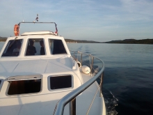  foto: Tomasz Cieślar