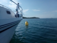  foto: Tomasz Cieślar