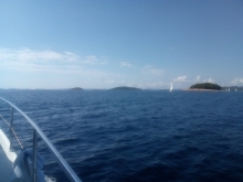  foto: Tomasz Cieślar