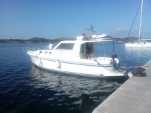  foto: Tomasz Cieślar