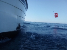  foto: Tomasz Cieślar