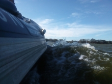  foto: Tomasz Cieślar