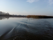  foto: Tomasz Cieślar