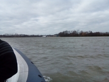  foto: Tomasz Cieślar