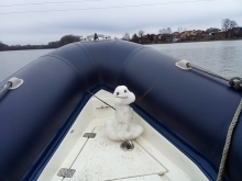  foto: Tomasz Cieślar