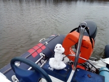  foto: Tomasz Cieślar