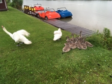 Nietypowi kursanci zawitali na szkolenie foto: Piotr Kowalski