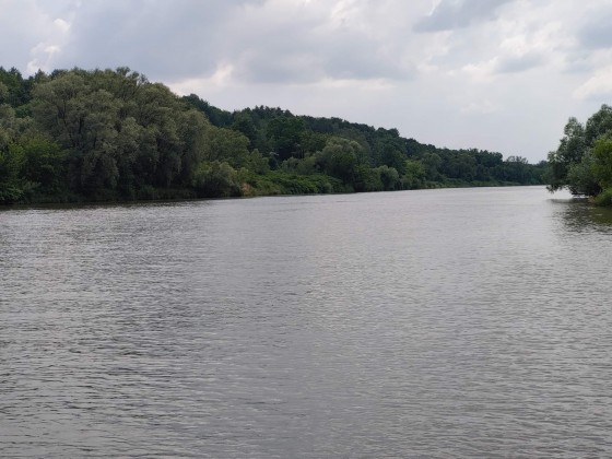 Holowanie narciarza i sternik motorowodny w Krakowie (lipiec)